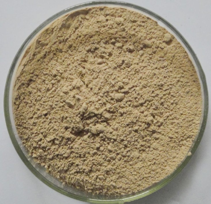 Natural White Kidney Bean Extract Powder 100% Alpha-Amylase Inhibitor 3000-50000u/G Biochemical Analysis