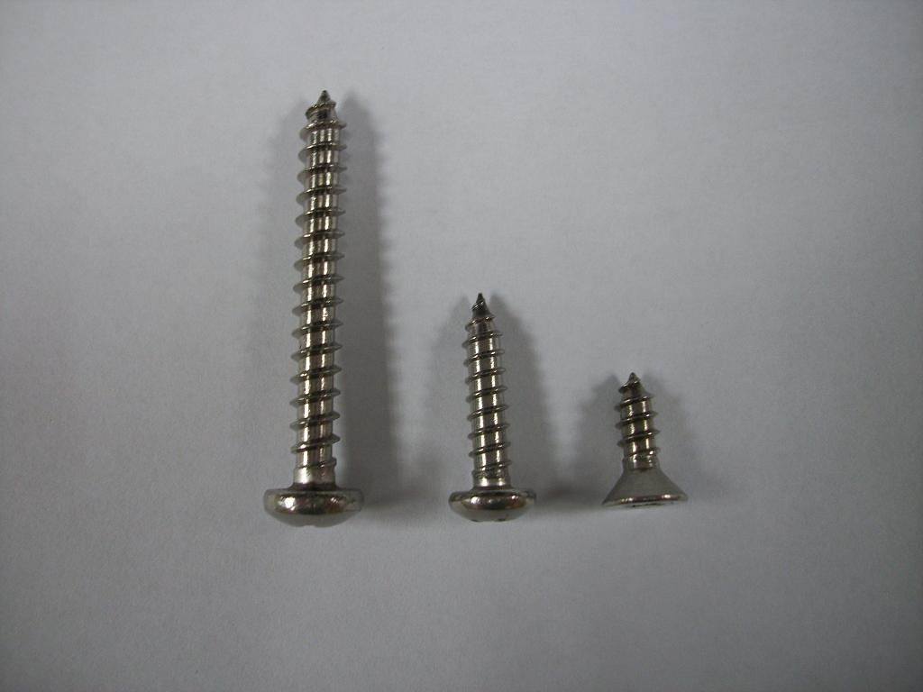 Stainless Steel DIN7981 Self Metal Tapping Screw