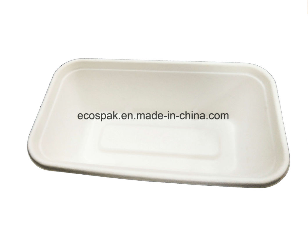 Eco-Friendly Biodegradable Disposable Tableware 100% Compostable Paper Pulp 1000ml Tray