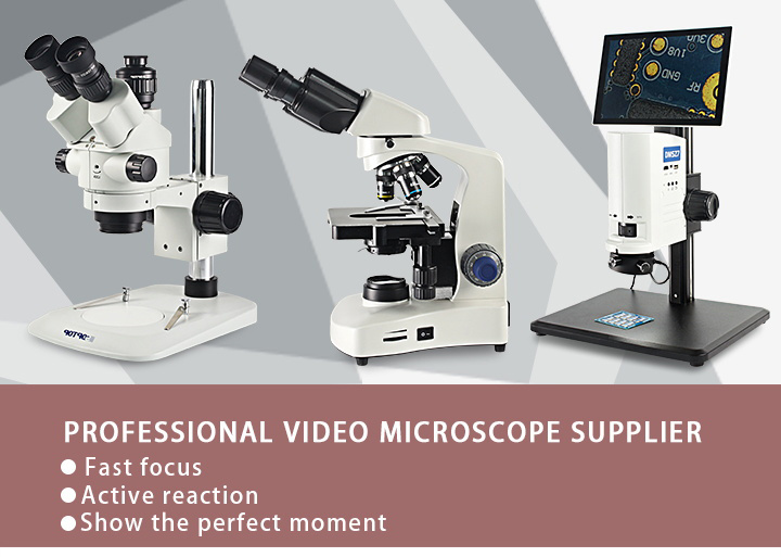 Zoom Stereo Optical Instrument Video Electron Microscope