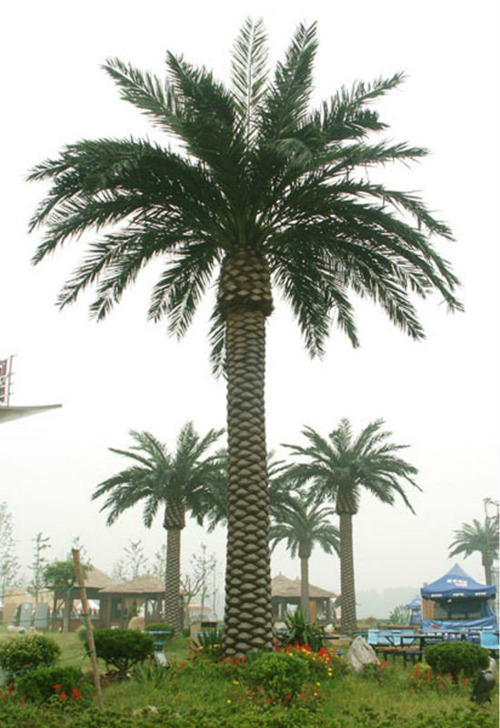 Steel Tube Disguised Palm Tree Communication Tower