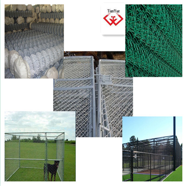 High Quality Galvanized and PVC Coated Chain Link Fence (TYC-048)