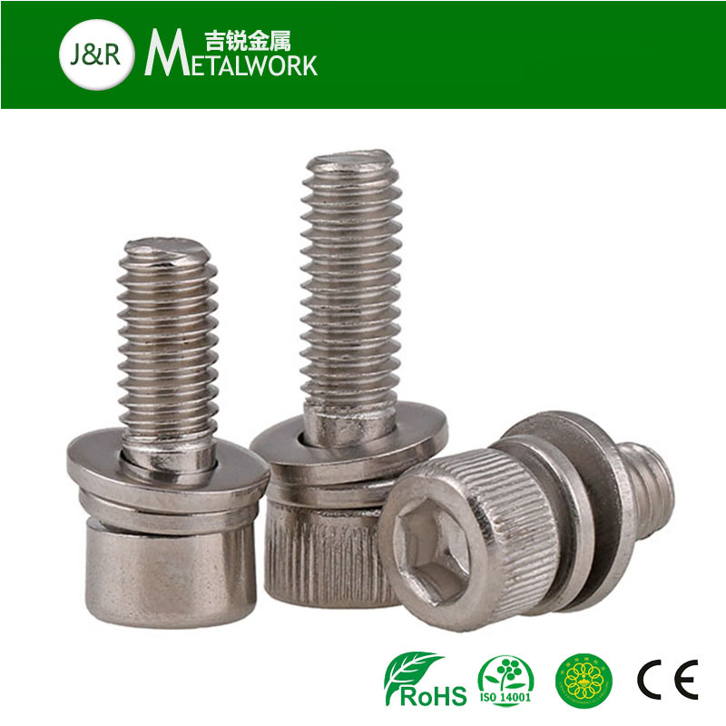 A2 A4 Hex Socket Allen Head Bolt and Washer Sems Screw (SS304 SS316)