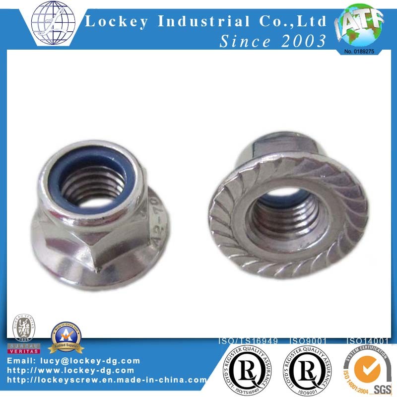 Passivated Stainless Steel Nut, Hex Nut, Flange Hut, Nylon Nut, Cap Nut, Wing Nut