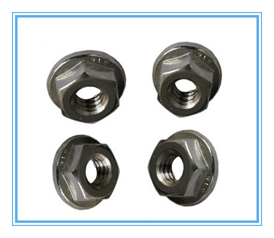 Nylon Lock Insert Hex Flang Nut