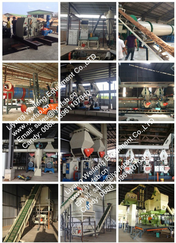 1-15t/H Wood Pellet Mill Production Line with Ce Certificate