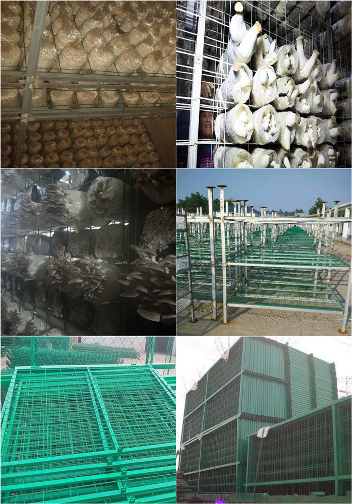 High Quality Low Carbon Steel Wire Mushroom Growing Mesh