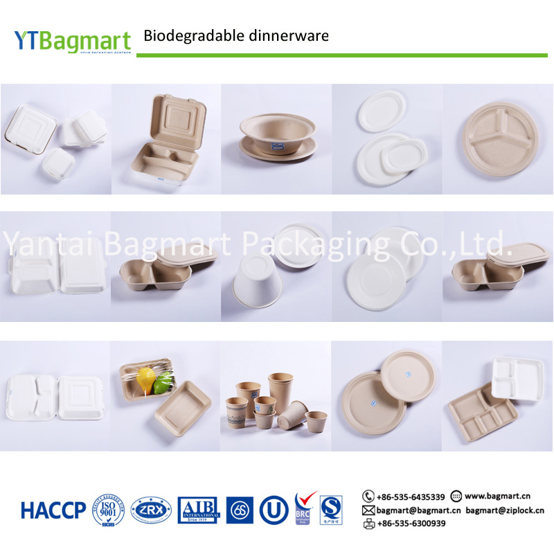 Eco-Friendly Disposable Sugarcane Pulp Paper Tableware, Biodegradable Tableware