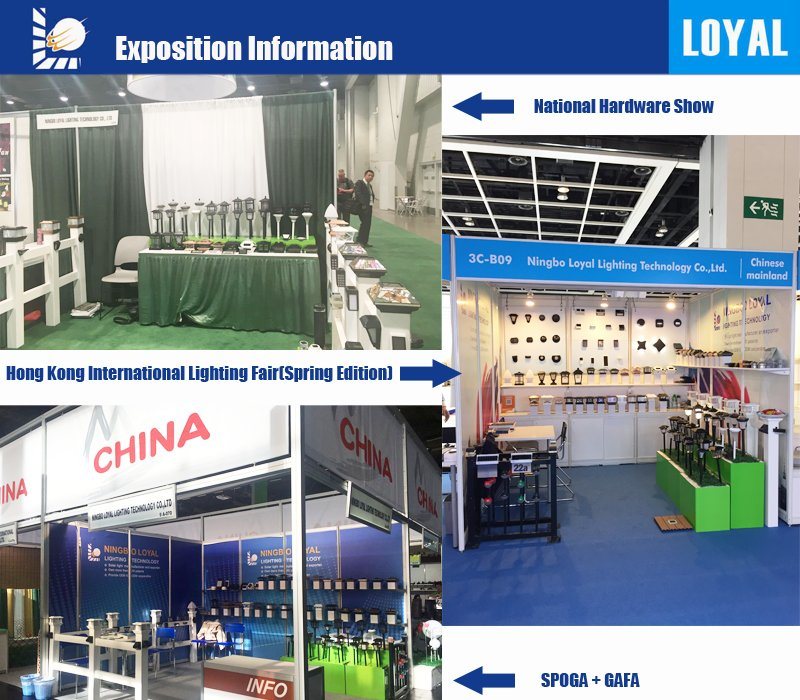 Loyal China Factory Black LED Waterproof LED Filament Bulb Outdoor Solar Panel Solar Lawn Lighting