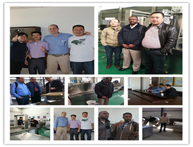 Continous Seaweed Mesh Conveyor Belt Dryer/Drying Machine