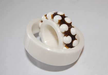 Full Ceramic Flanged Ceramic Bearing