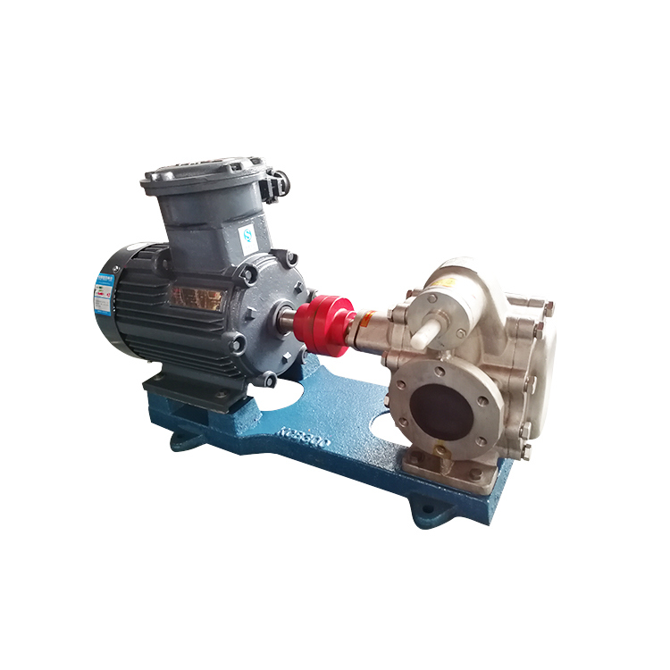 Stainless Steel High Pressure Oil High-Pressure Gear Pump