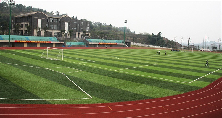 Environment Friendly Sports Artificial Grass