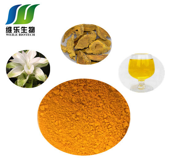 Turmeric Root Extract Pure 95% Curcumin CAS No. 458-37-7