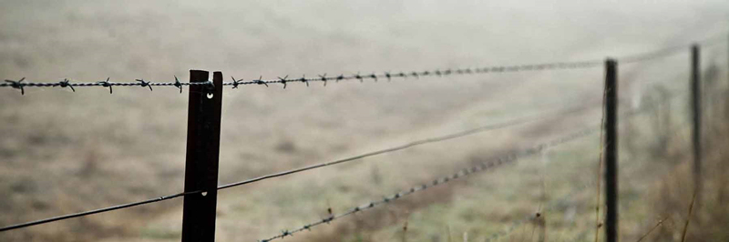 Galvanized or PVC Coated Barbed Wire for Fence