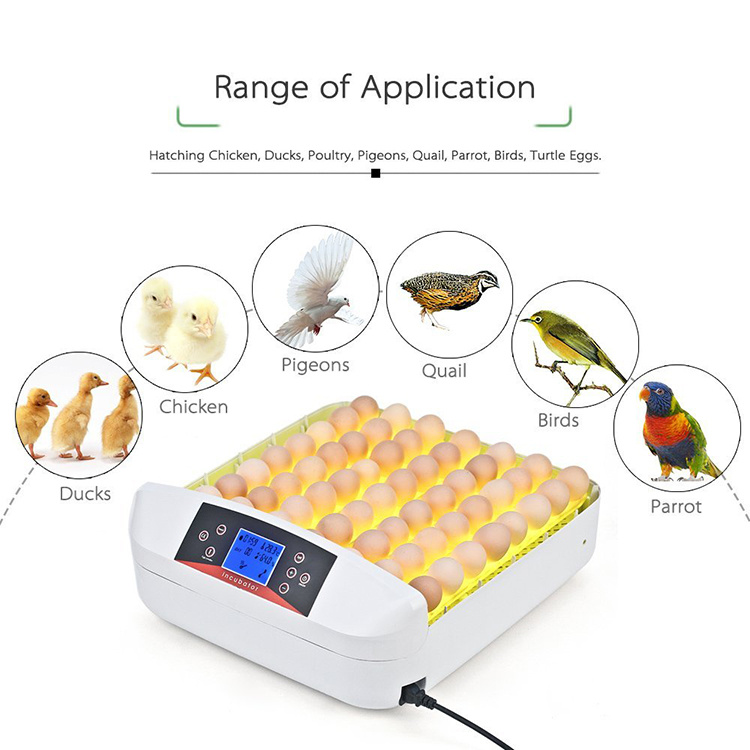 Hhd Automatic 56 Chicken Eggs Incubator with LED Light