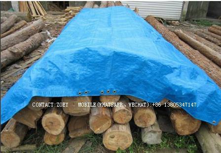 Concrete Curing Blanket/Insulate Tarp