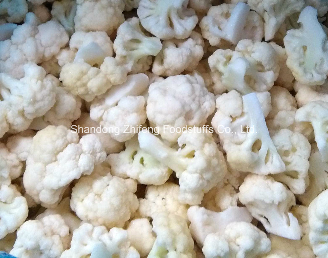 IQF Frozen Cauliflower with Best Quality