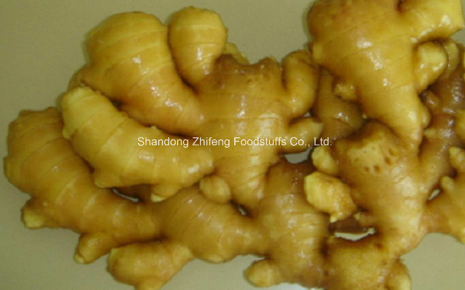 250g up Fresh Organic Ginger