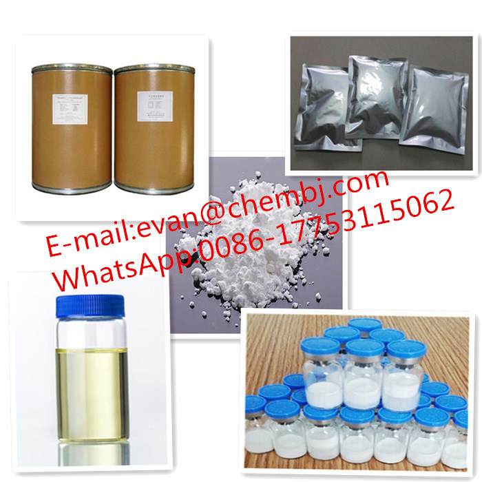 Sodium Dichloroacetate CAS No. 2156-56-1