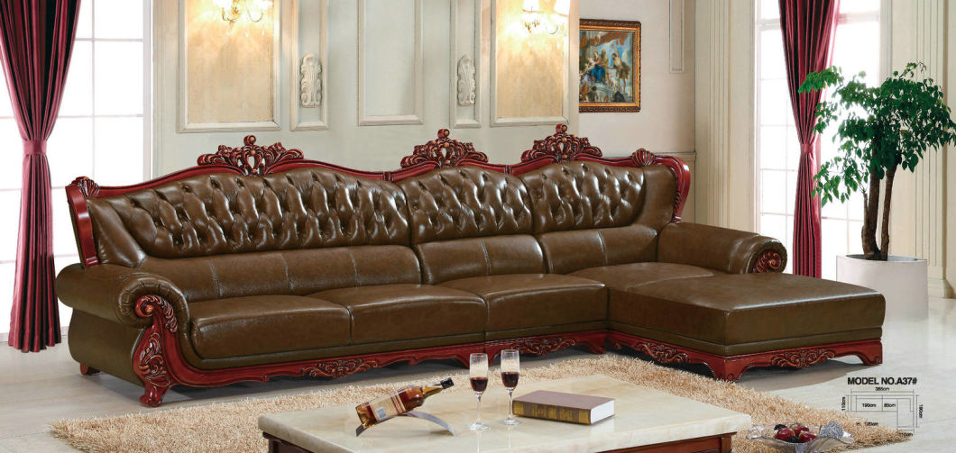 Europe Sofa, Leather Sofa, Wooden Sofa, America Sofa (A37)
