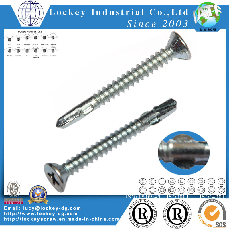 Flat / Pan Head Self Drilling Screw Self Drilling Tapping Screw