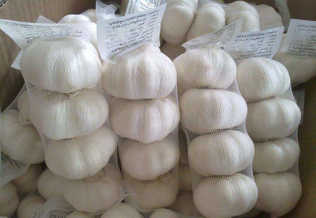 Pure White Garlic with Competitive Price