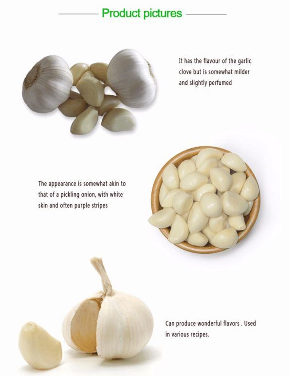 China Peeled Garlic in Brine