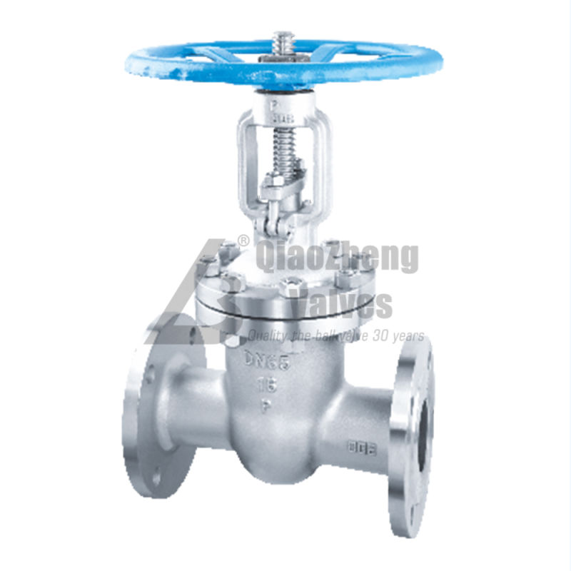 DIN Stainless Steel Flanged Wedge Rising Stem Gate Valve Z41h-16p
