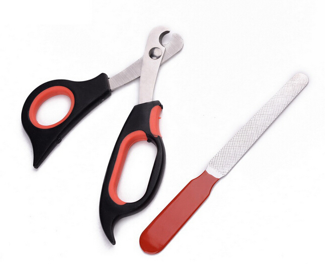 Pet Scissors Suit for Small Dog or Cat