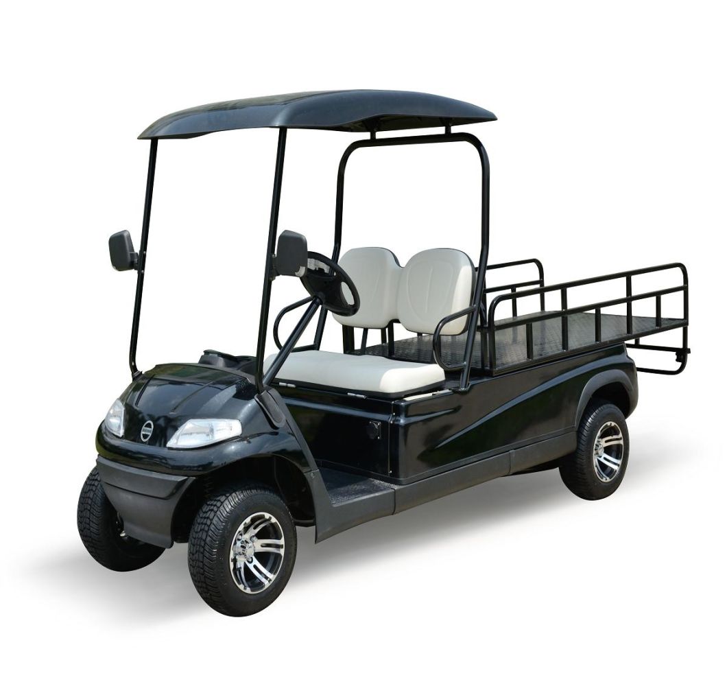 Wholesale 2 Seaters Electric Cargo Cart (LT-A627. H2G)