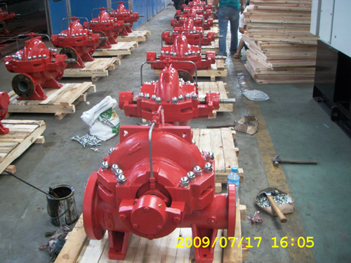 Horizontal Cast Iron Double Suction Pump for Clear Water