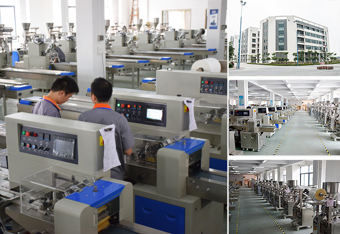 Fully Automatic Snack, Peanut, Nuts, Granule, Food Sachet Pouch Forming Filling Sealing Weighing vacuum Packing Machine