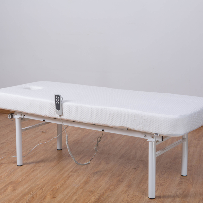 Medical Beauty Care Electric Adjustable Beauty Bed