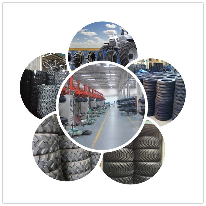 Agriculture Tyres 4.50-19 4.00-12 4.00-8 4.00-10 R1 Pattern Three Wheeler Tricycle Tirecotton Picking Machine Tyre