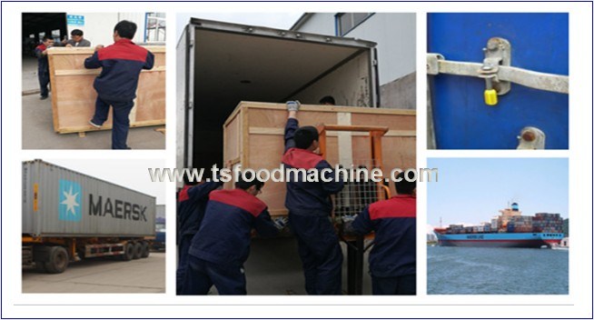 Industrial Fruit Drying Machine Plantain Chips Dryer