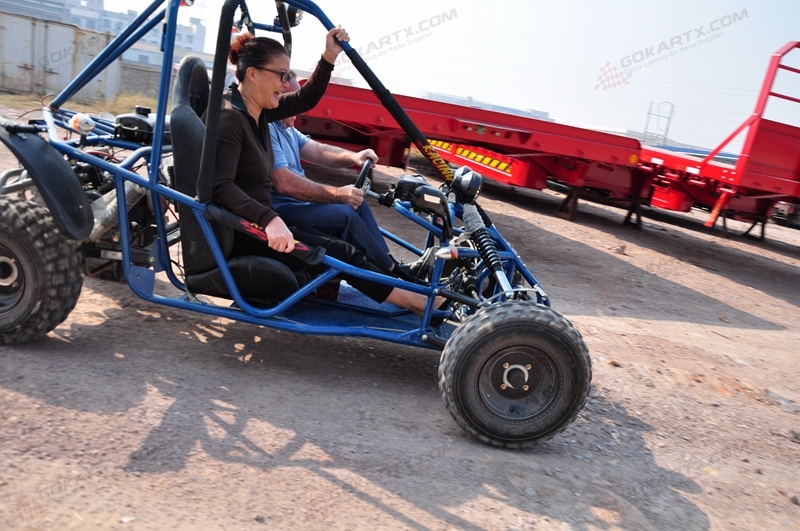 Direct Selling Mademoto 2 Seater Go Kart for Adult