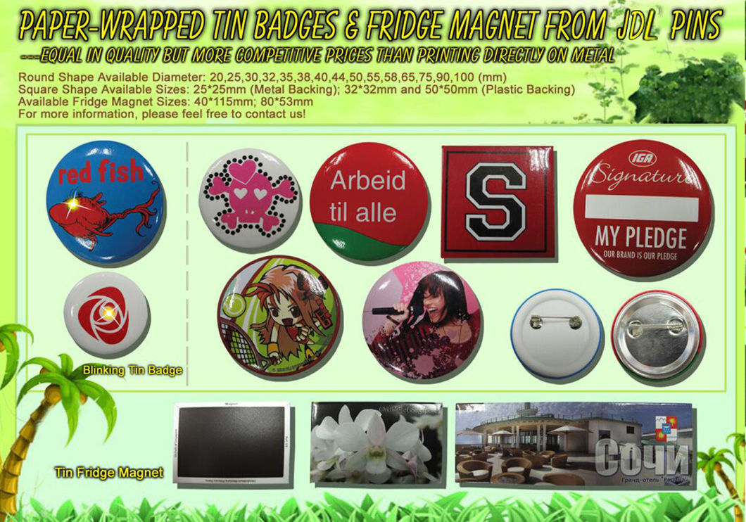 Custom Printing Tin/Tinplate/Plastic Button Badge (017)