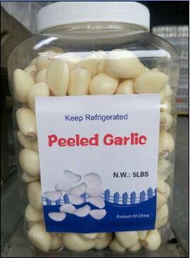 Carton Packing Fresh Peeled Garlic (180-220grains/kg)