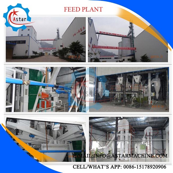 Chicken Poultry Cattle Livestock Complete Animal Feed Line