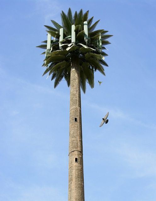 Steel Tube Artificial Tree Radio Tower