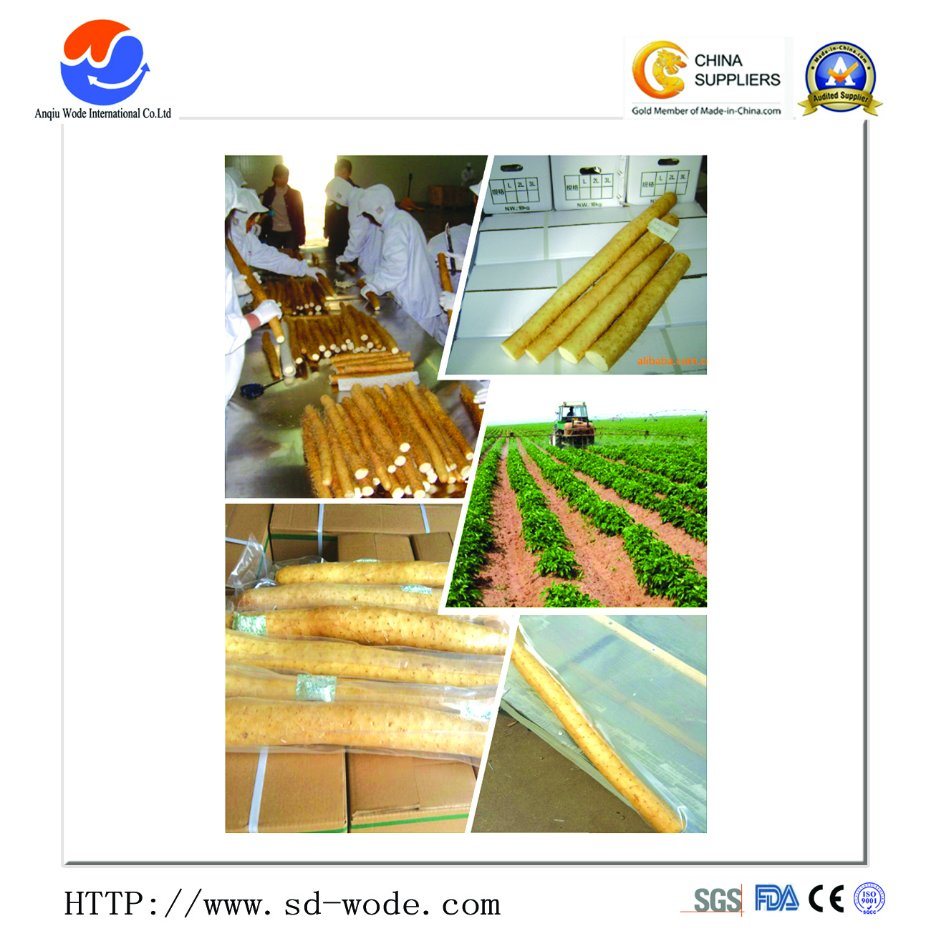 HDPE High Quality Cucumber Yam Support Plant Trellis Net