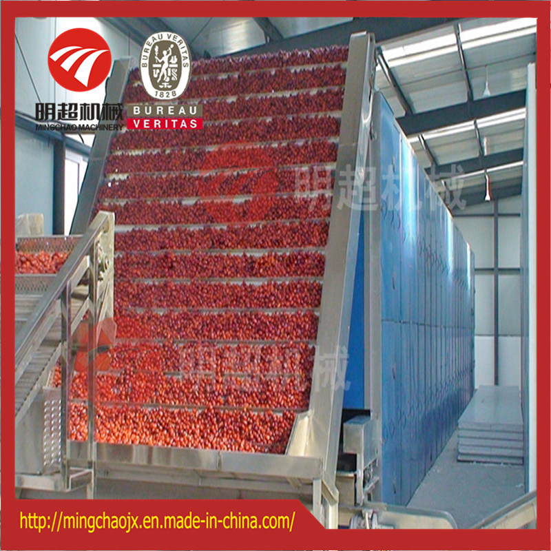 Tunnel Type Hot Air Drying Machine/Pitaya Slice Belt Dryer Chamber