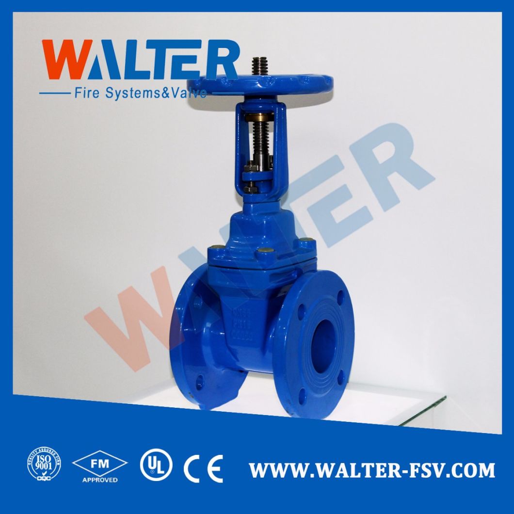 Resilient Seat Gate Valve for Water