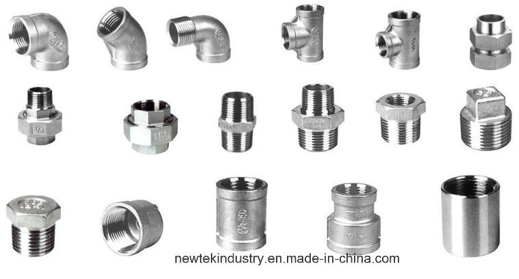 NPT Male Hosetail 150lb Threaded Stainless Steel Pipe Fitting