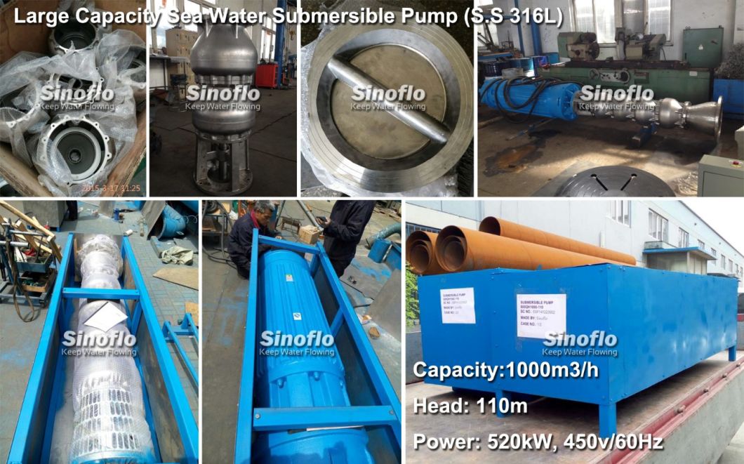 Sea Water Lift Stainless Steel Submersible Pump