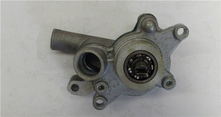 Engine Parts for 300cc 2.1.01.8000 Buyang Water Pump Assy