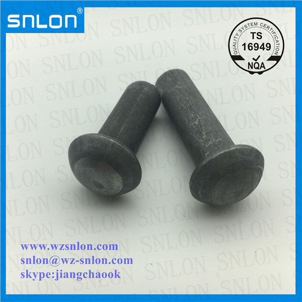 Pan Head Rivet Screw Bolt Stainless Steel