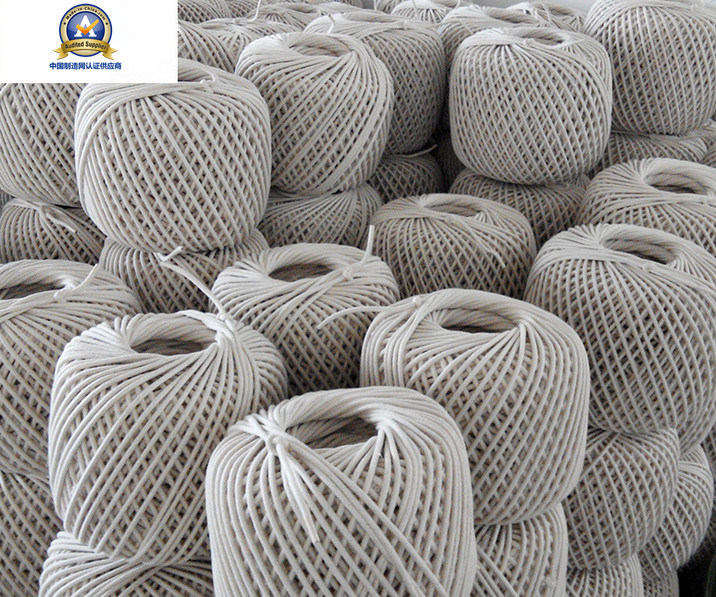 6mm Diamond Braid Polyester Cord Rope with High Quality (CD006)