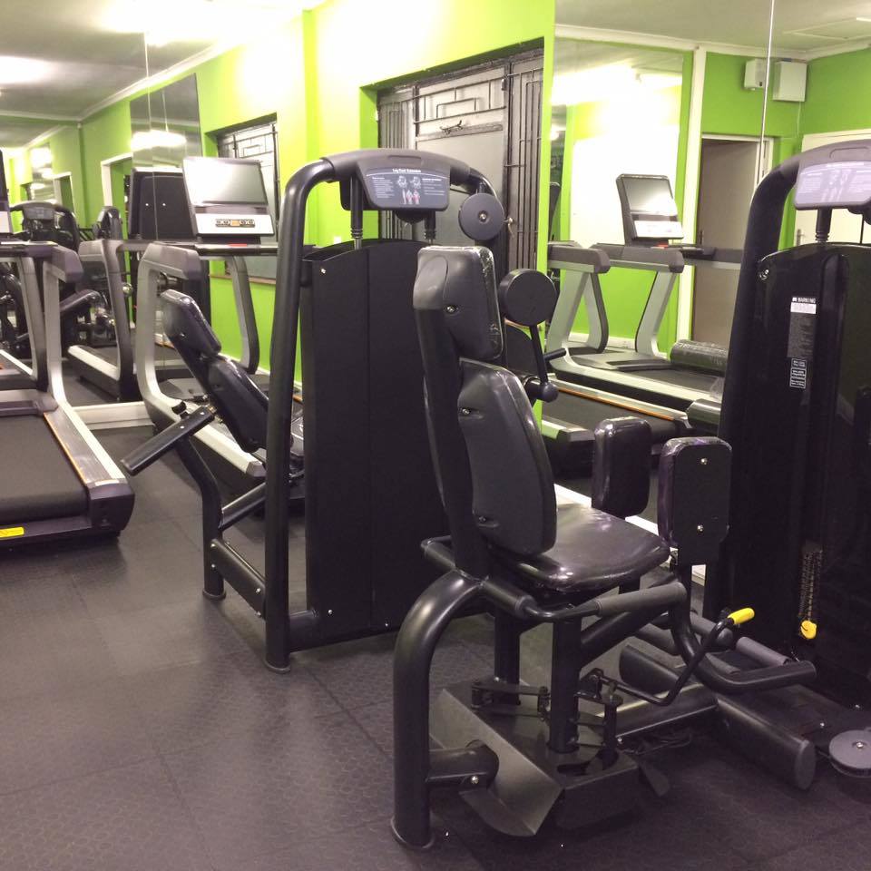 Body Building Machine / Roman Chair Tz-6026 /Gym Fitness Equipment